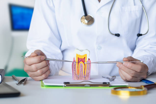 Best Broken or Cracked Tooth Emergency Dentist in White Oak, OH